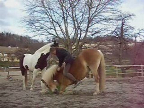 Montage pétages de plombs