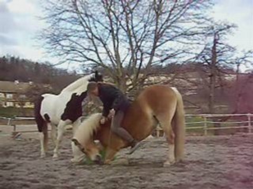 Montage pétages de plombs