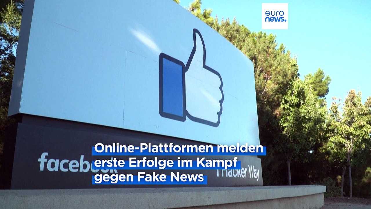 Brüssel befürchtet russische Desinformation bei Wahlen in der EU