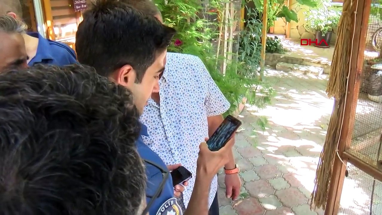 Lors de la bagarre survenue lors de l'évacuation des perroquets et des canaris d'un établissement touristique à Antalya, 1 perroquet est mort et 3 canaris ont été attrapés par le chat.