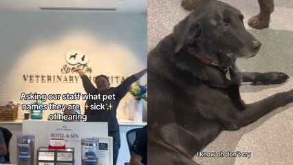 These Vets Are SICK of Hearing These Pet Names