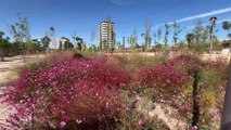 Torrejón de Ardoz suma 127 nuevos parques tras crear tres nuevas zonas verdes