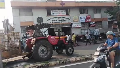 Video..... Ahmedabad : बोपल, जशोदानगर, गिरधरनगर समेत क्षेत्रों से 68 मवेशी पकड़े