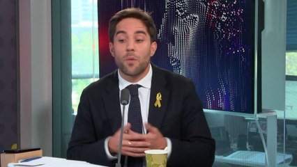 Essence à prix coûtant : "C'est des miettes qui sont données aux Français", estime le député RN Thomas Ménagé