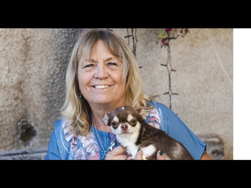 VIDEO: "Ils m'ont baptisé XXL" : Alain (L'Amour est dans le pré) enchaîne les allusions coquines, Ch