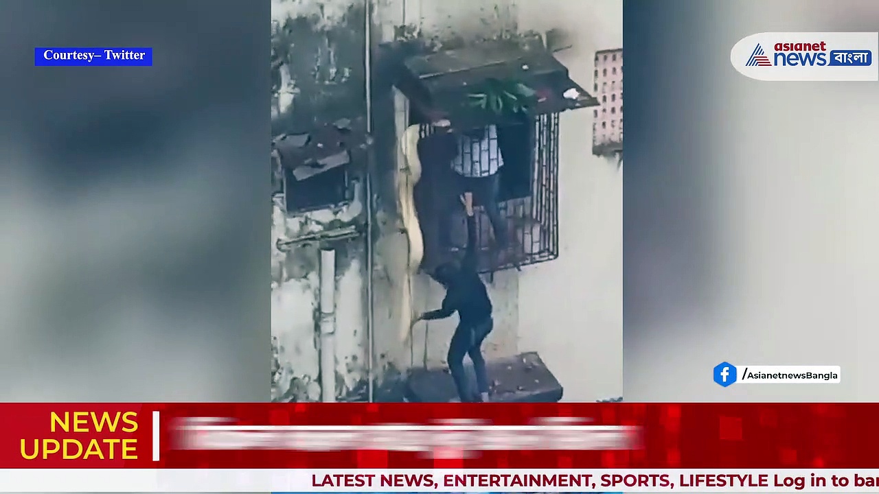 Viral Video : দেওয়াল বেয়ে বাড়িতে হানা ১০ ফুট লম্বা পাইথনের, ভিডিও ভাইরাল
