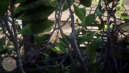 Red Dead Redemption 2: The Terminator in the Wild West_ Arthur Morgan's Tale