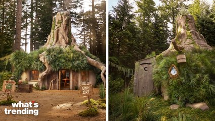Shrek Themed Airbnb Is Offering a Free Stay to Ogre Enthusiasts