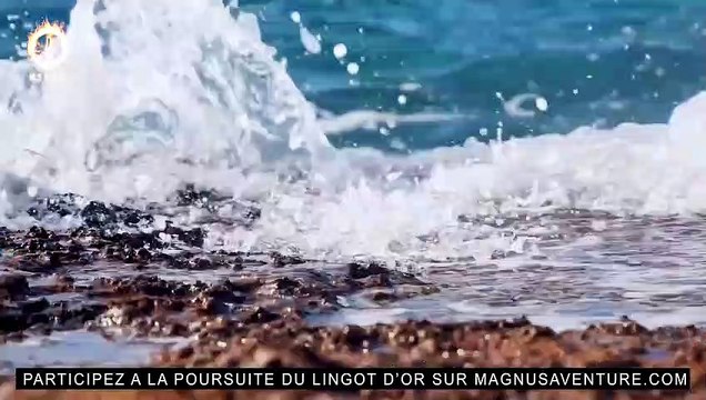 Magnus : découvrez les 15 aventuriers célèbres qui participeront à l'émission