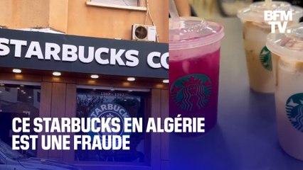 Descargar video: En Algérie, un café se fait passer pour un Starbucks et connaît un succès monstre