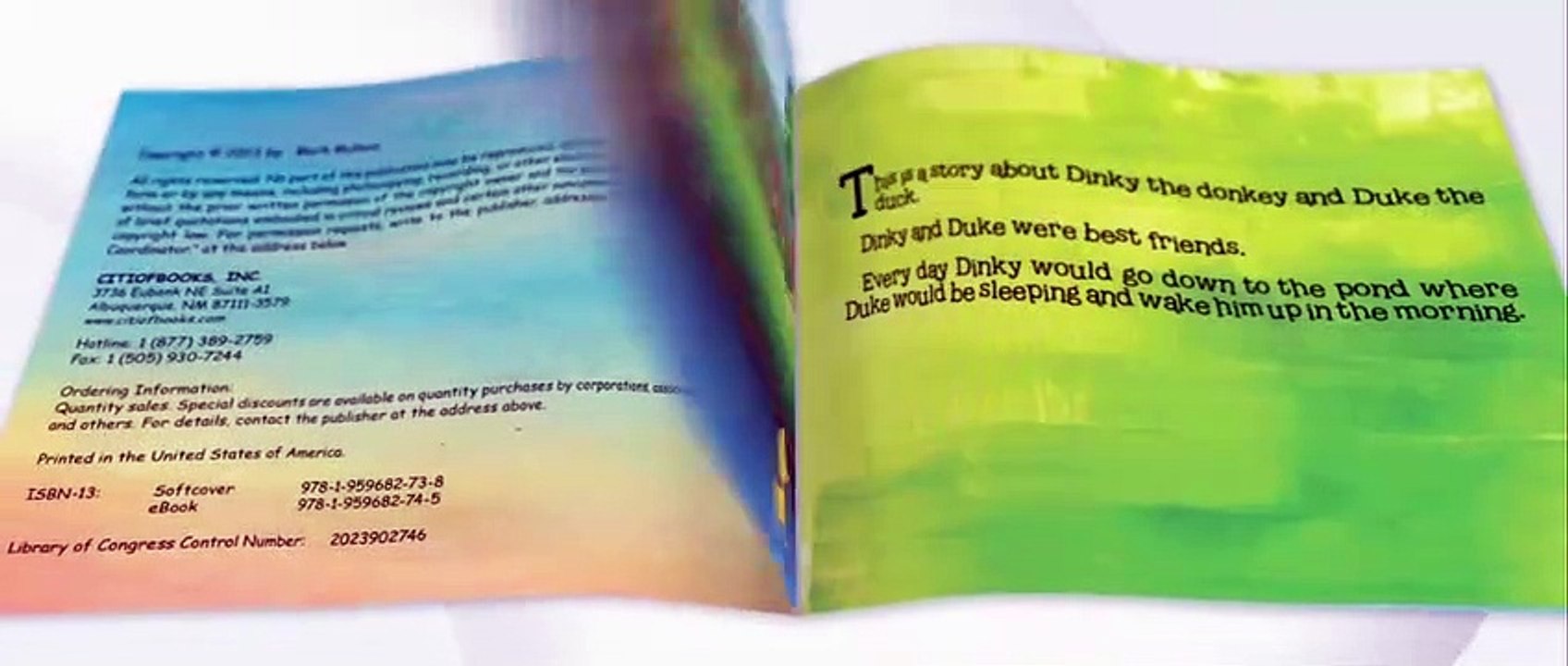 Dinky and Duke by Mark A Mullens - CITI OF BOOKS