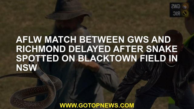 AFLW match between GWS and Richmond was delayed after being seen in Blacktown Field in NSW