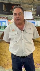 El ganado Senepol gana terreno y exhibe su potencial en Expocruz 2023