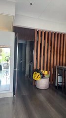 Comedy be .  Humor para reir.