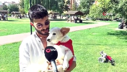 Köpeği felç kaldıktan sonra Müslüman oldu