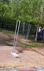 De nenazas y Puentes