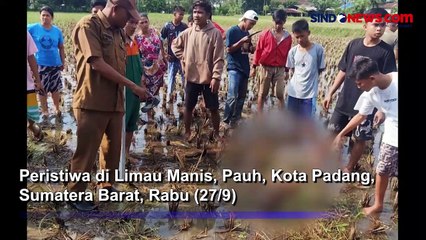 Gigit 23 Orang Warga, Anjing Diduga Rabies  Ditangkap dan Dibunuh di Kota Padang