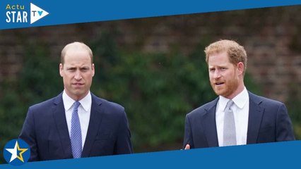 Harry et William : voilà les surnoms qu'ils se donnent en pleine guerre fratricide