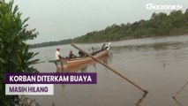 Pemancing Diterkam Buaya di Sungai Banyuasin, Korban Masih Hilang