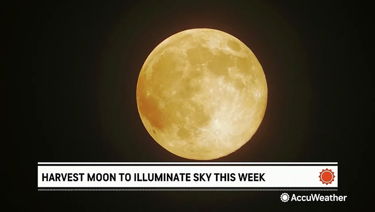 Harvest moon to light up the sky in the final days of September - video ...