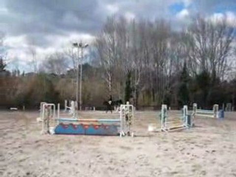 concours Trets St Hubert le 24 mars 2008