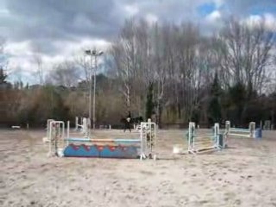 concours Trets St Hubert le 24 mars 2008