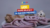 Uod, isang delicacy sa Quezon Province | I Juander