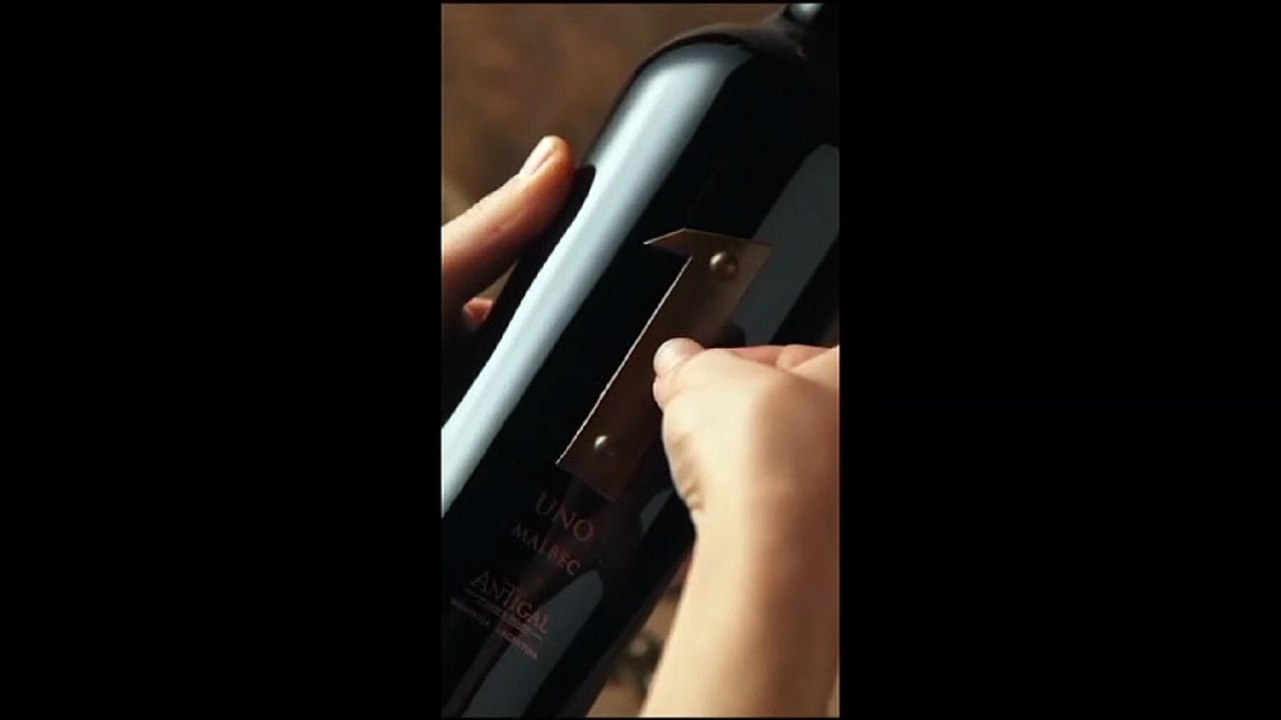 Bodega Antigal
