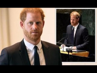 Le prince Harry devrait rester à l'écart de la politique - "Ne peut pas être prince et militant poli