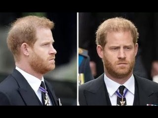 Le prince Harry est parti «dévasté» par des rebuffades perçues après son retour au Royaume-Uni