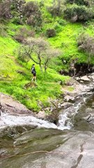 Un chien chevauche un toboggan naturel