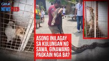 Asong inilagay sa kulungan ng sawa, ginawang pagkain nga ba? | GMA Integrated Newsfeed