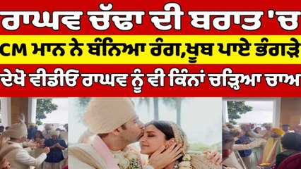 Raghav Chadha ਦੀ ਬਰਾਤ 'ਚ CM Bhagwant Mann ਨੇ ਬੰਨਿਆ ਰੰਗ, ਖੂਬ ਪਾਏ ਭੰਗੜੇ |OneIndia Punjabi