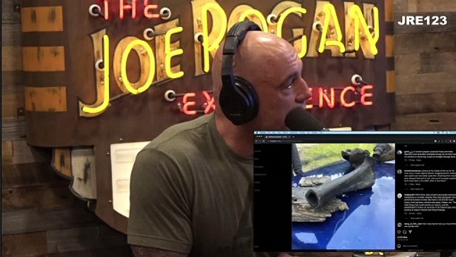 2039 – Michael Easter – The Joe Rogan Experience
