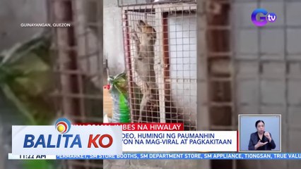 Video ng aso at sawa na magkasama sa isang kulungan, umani ng negatibong reaksyon online | BK