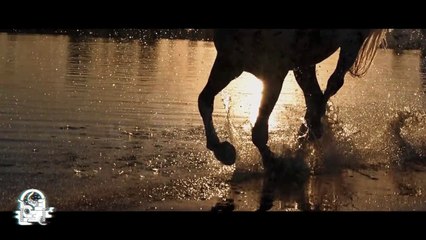 EXPERIENCIAS DE UN MISIONERO (Historias De Terror)