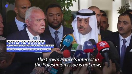 Saudi delegation visits Palestinian Territories
