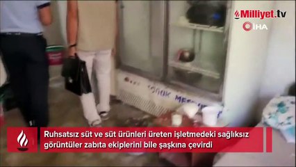 Peynir imalathanesinde şok görüntüler