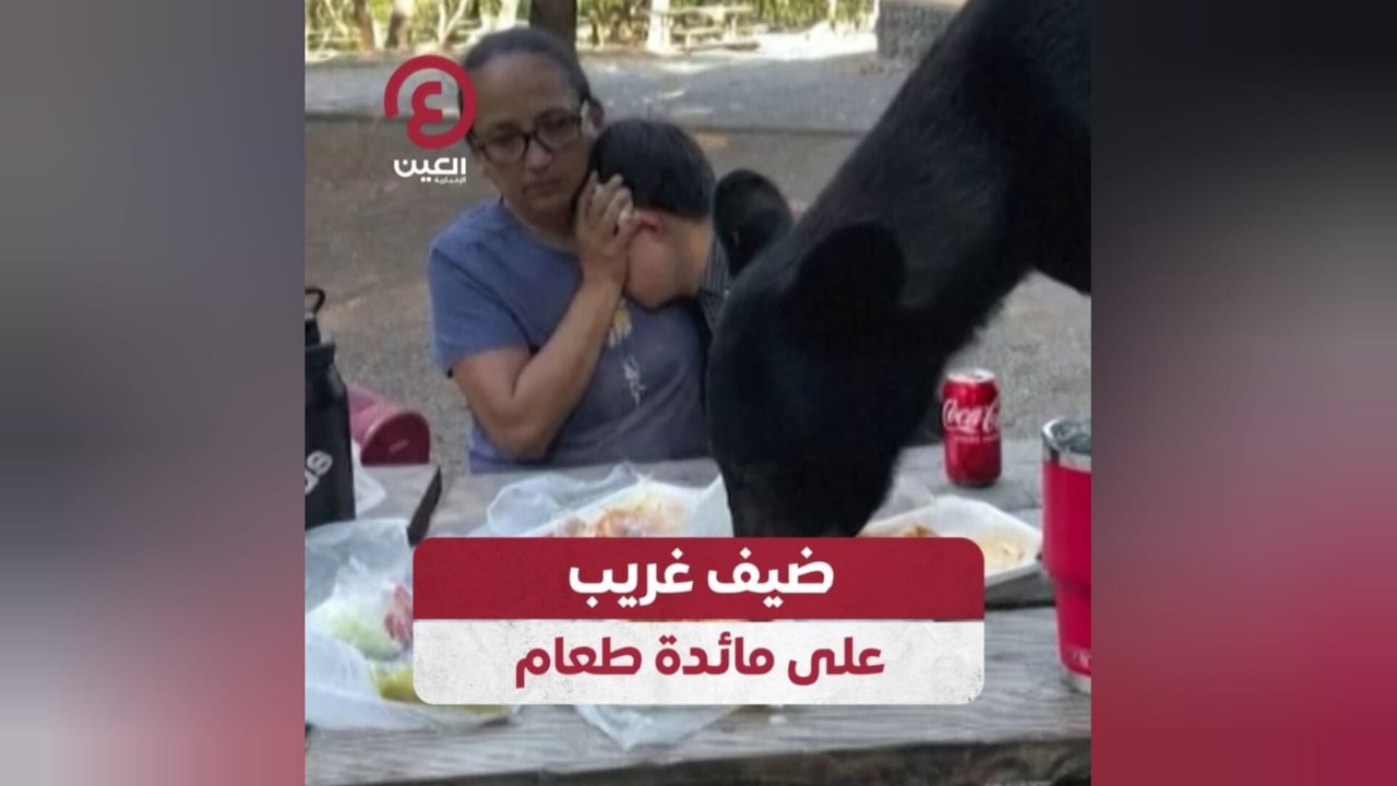 ضيف غريب على مائدة طعام