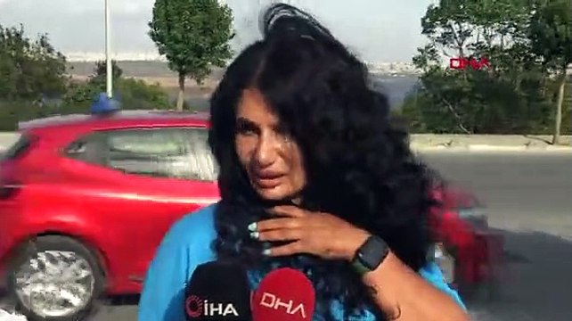 Avcılar’da sokak hayvanları bıçaklanarak öldürüldü