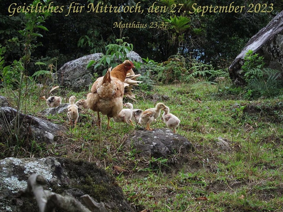 Geistliches für Mittwoch, den 27. September 2023