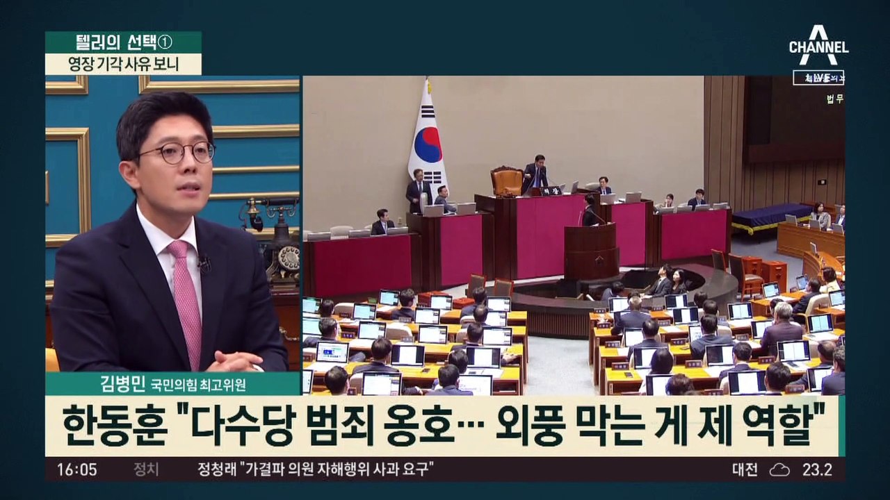 당 대표라 증거인멸 우려 없다?…이재명 영장 기각 사유 보니