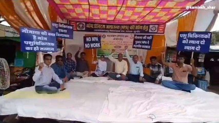बूंदी: पशु चिकित्सकों का 9 वें दिन भी धरना जारी, देखें कहा अटकी बात