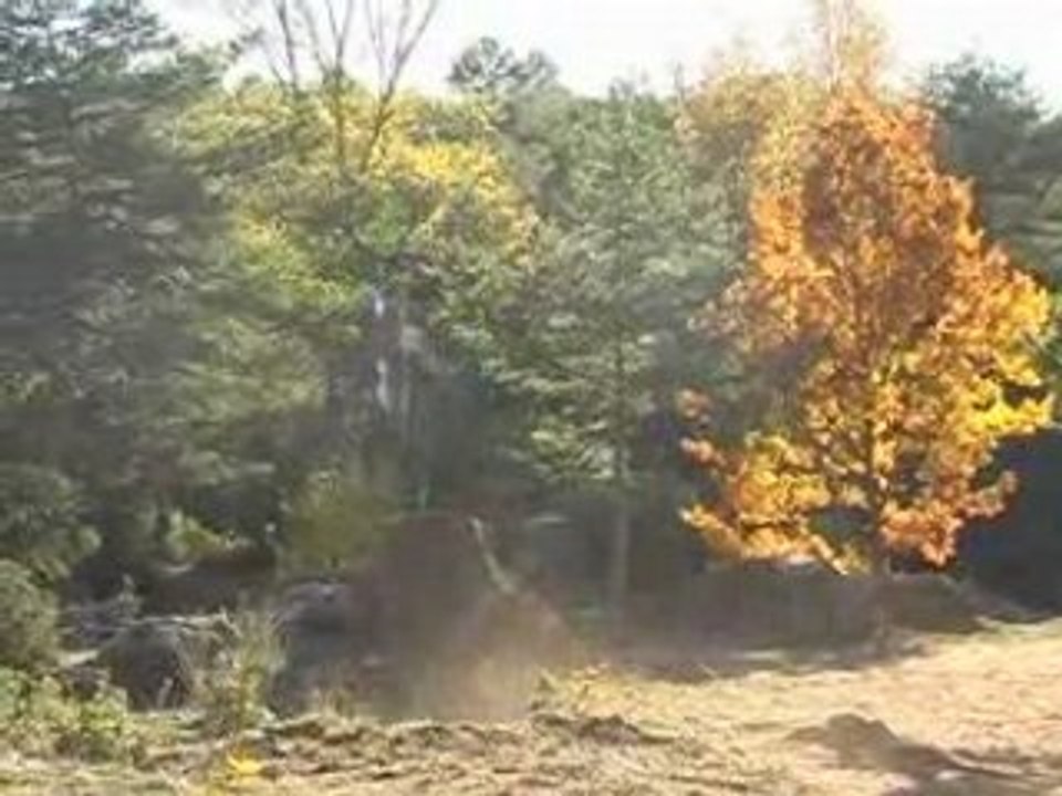 Team-Hips  Mauvais-jeunne