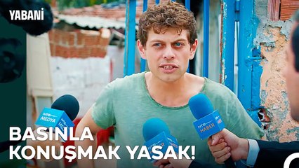 Sokak Köpeğine Tasma Takıldığı Nerede Görülmüş? - Yabani 3. Bölüm