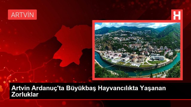 Artvin Ardanuç'ta Büyükbaş Hayvancılıkta Yaşanan Zorluklar