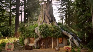 Airbnb offers stays in Shrek's Swamp in the Highlands