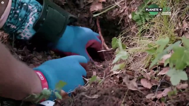 Zachary Quinto S02E06 - Les secrets des Nazis