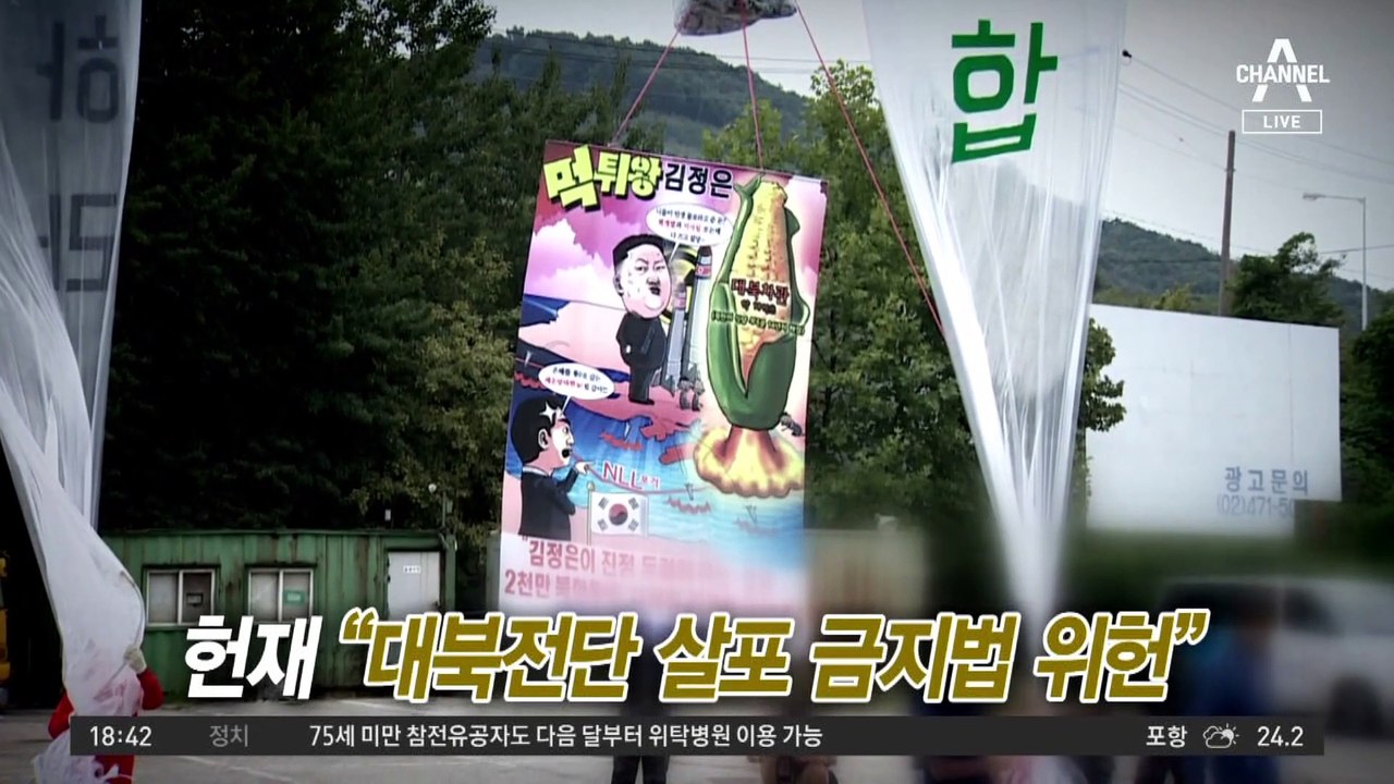 ‘김여정 하명법’ 위헌…대북전단 어떻게 바뀌나