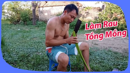 Làm rau tồng mồng mới thu hoạch ngoài vườn, món ăn dân dã quá yêu thích | Sandriê Vezee Official